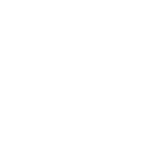 CMG-salomon