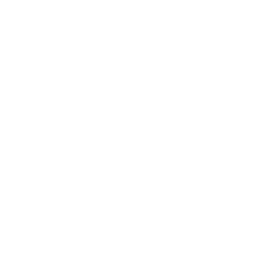 CMG_palantir