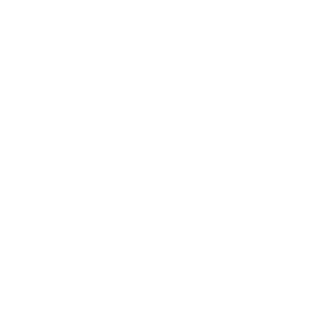 CMG_silencer co