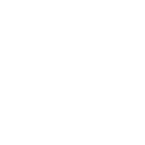 CMG_steiner